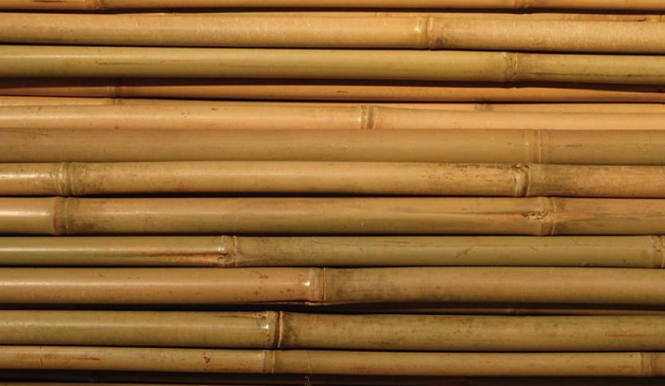 Bambukäppar
