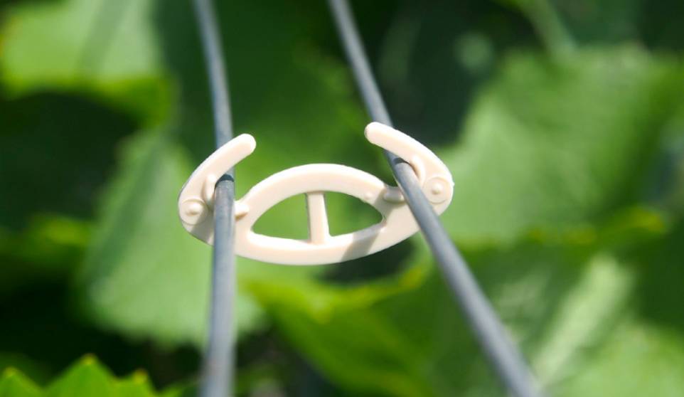 Rema Bioclip