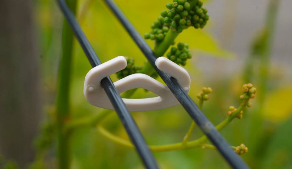 Rema Bioclip stark